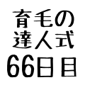育毛の達人66日目